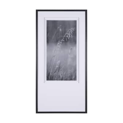 Summer Light II Framed Art Print