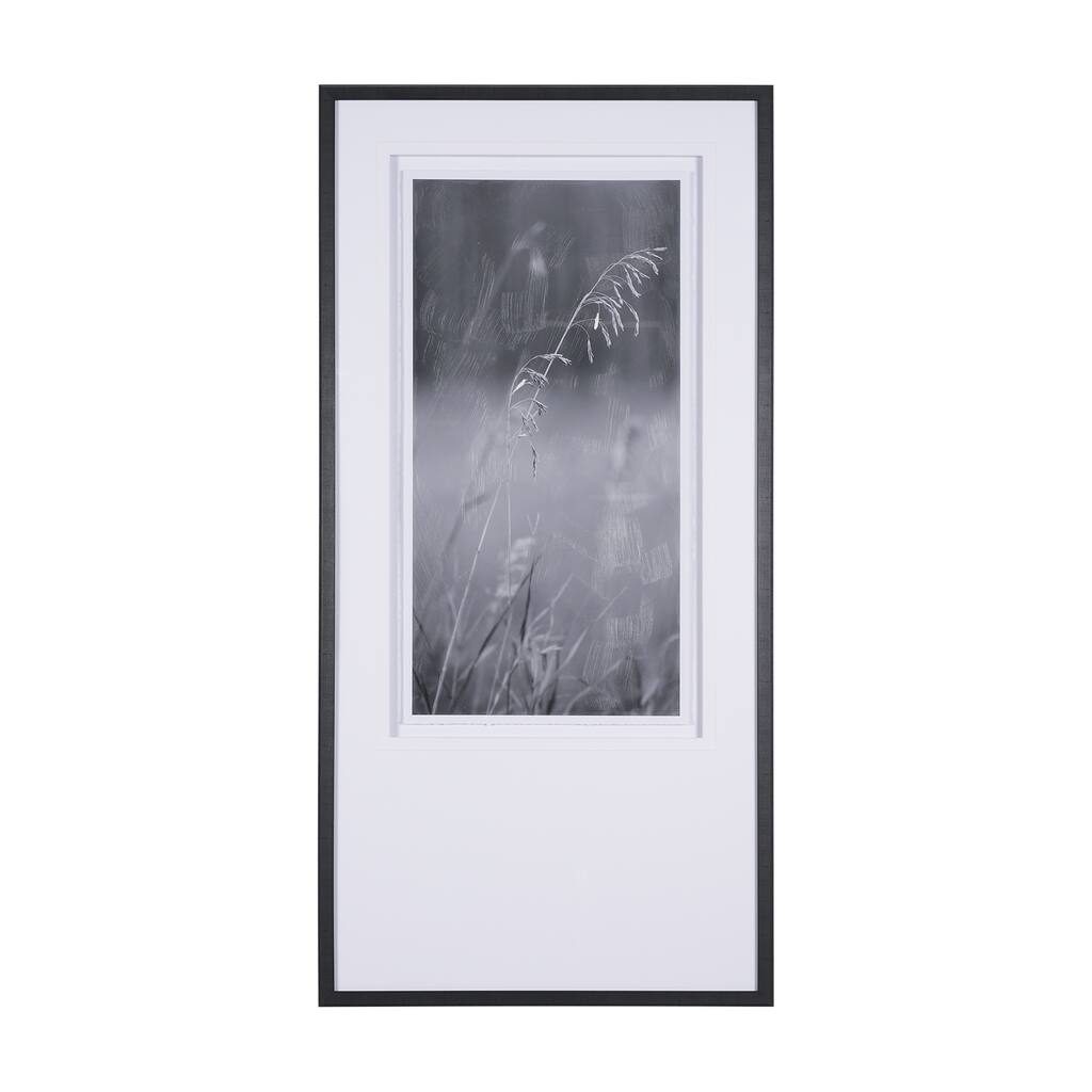Summer Light II Framed Art Print