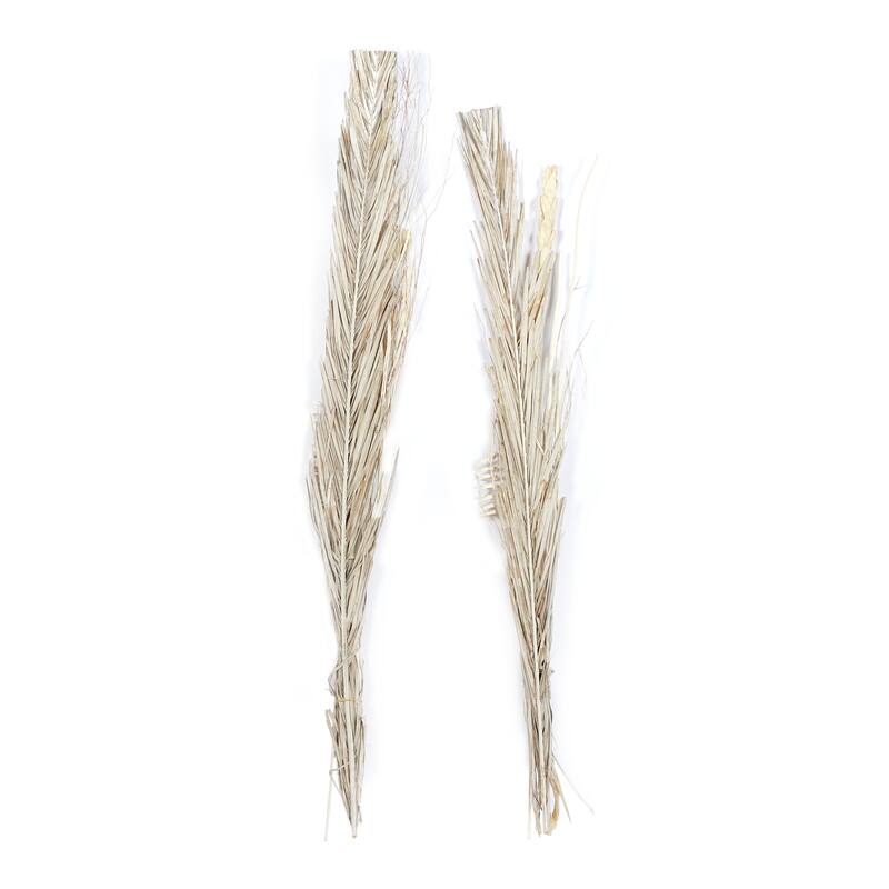 Multi colored, White Brown or Light Brown Dried Plant Pigeon pea Natural Foliage (Set of 2)