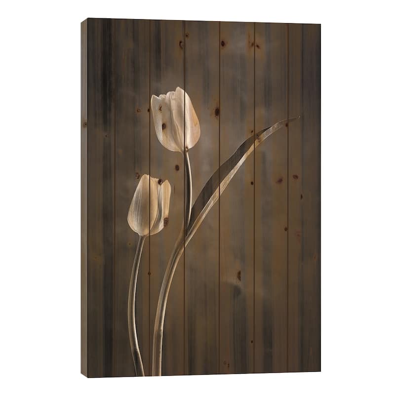 Two-tone Tulips IV Print On Wood by Debra Van Swearingen - Multi-Color - 26x18x1.5