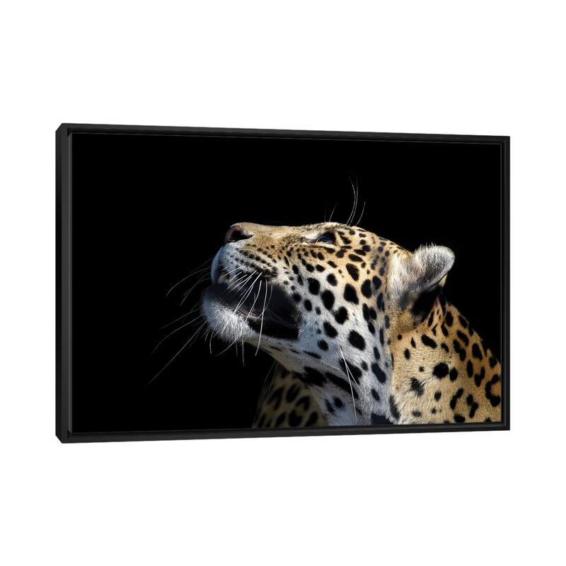 iCanvas "African Leopard" by Adrian Vieriu Framed - Black - 26x40