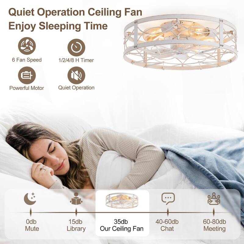 20-in Vintage Distressed White Caged Ceiling Fan with Light and Remote (7-Blade)