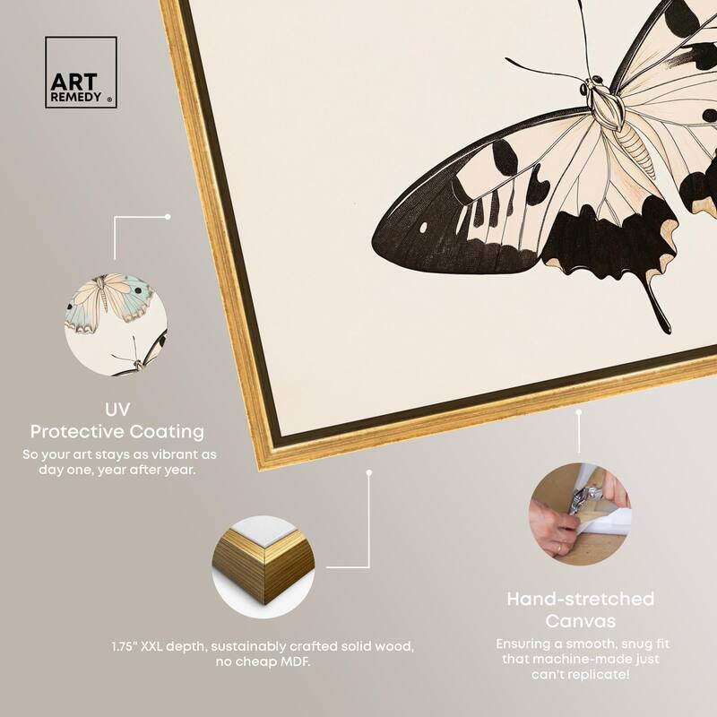 Aniseed Anatomy II Canvas by Art Remedy