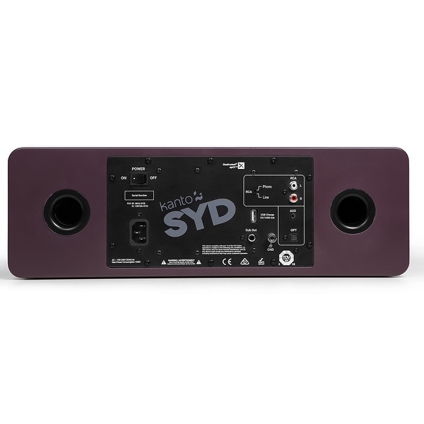 powered center channel speaker