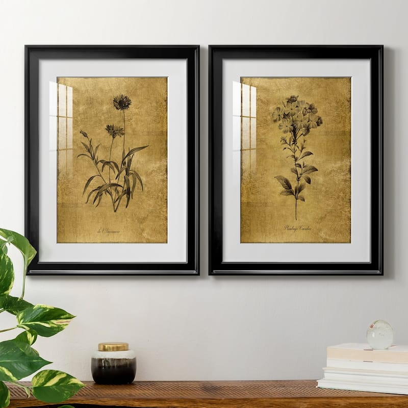 Gold Sketch Botanical I Premium Framed Print - Ready to Hang
