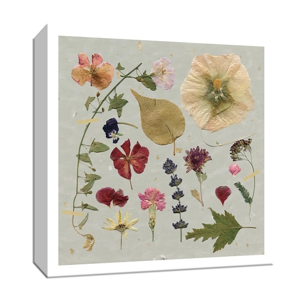 PTM Images 9-147908 PTM Canvas Collection 12" x 12" - "Pressed Assortment I" Giclee Flowers Art Print on Canvas