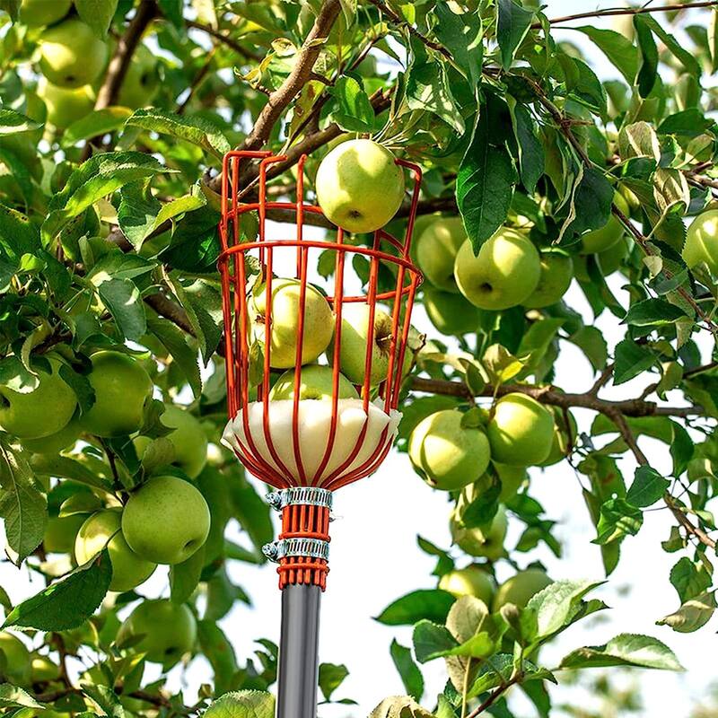 WaLensee 5.5FT Fruit Picker, Adjustable Fruits Picker Tool with Lightweight Stainless Steel Pole and Big Basket