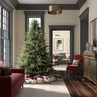 8.5' x 70" Itasca Frasier Pine with 1000 Warm White Lights