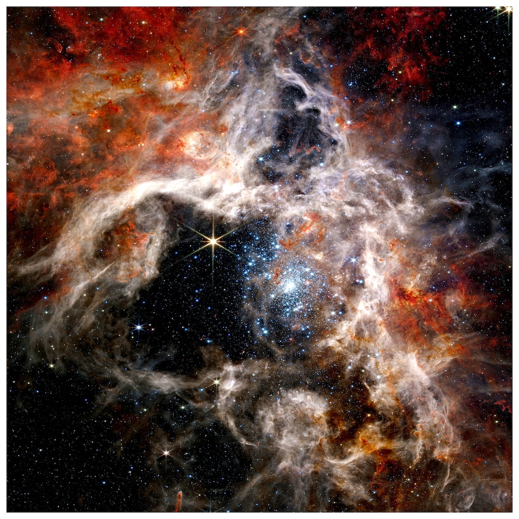 Empire Art Direct The Tarantula Nebula Printed Tempered Glass Wall Art - Multi-Color