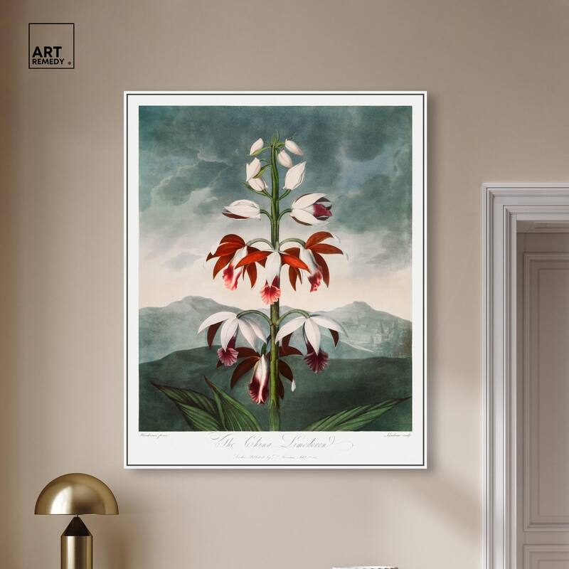 The China Limodoron 1807 Canvas by Art Remedy