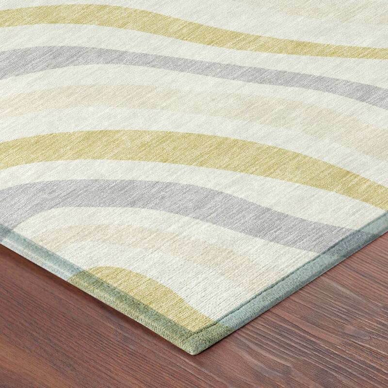 Machine Washable Indoor/ Outdoor Traditional Mimi Chantille Rug