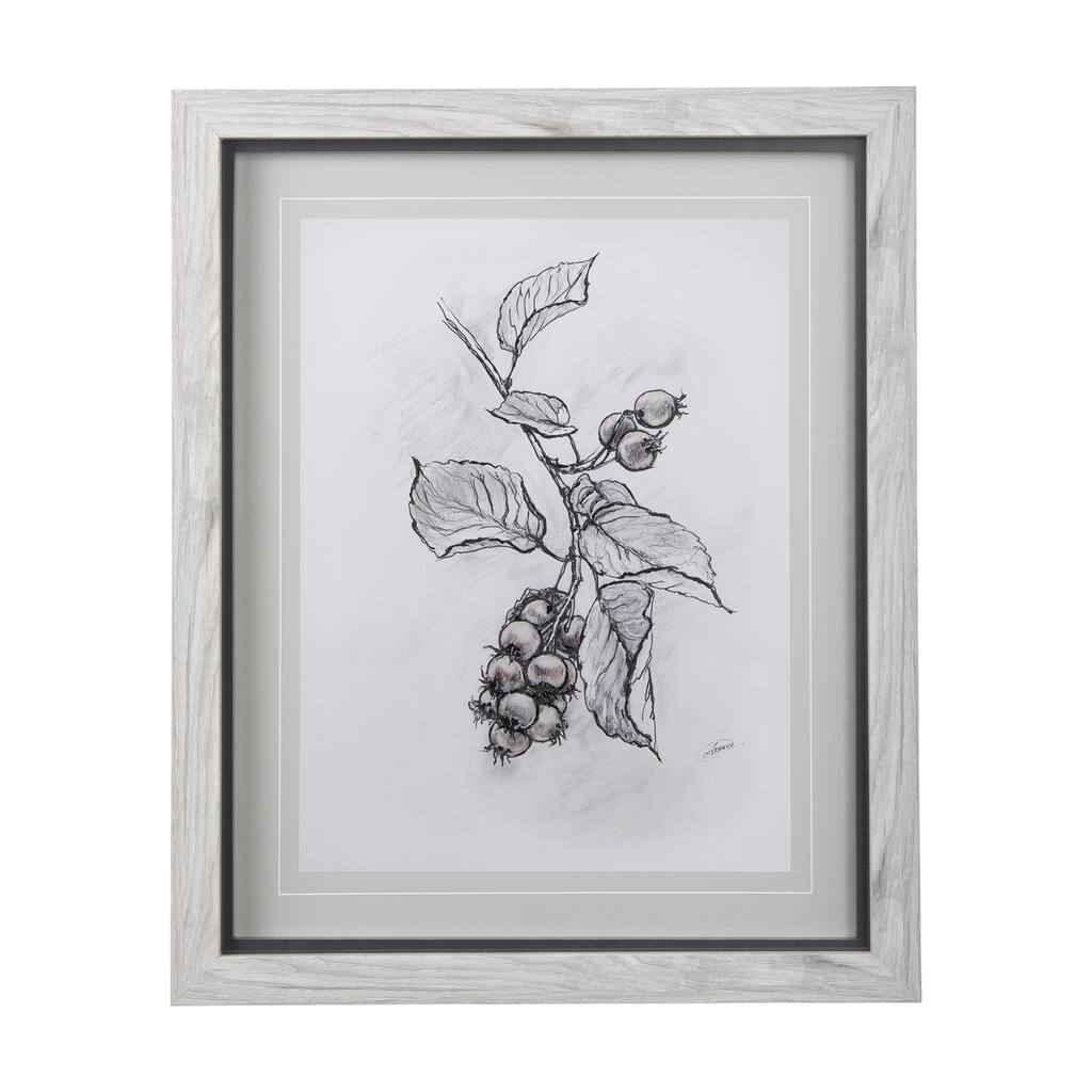 WildBerry Collection Saskatoonberry Framed Art Print