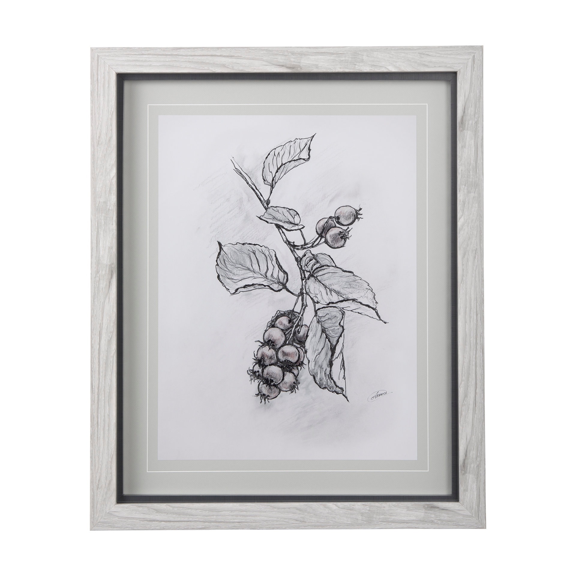 Saskatoonberry by Mercana Studio Hand Embellished Framed Art Print Matted under Glass