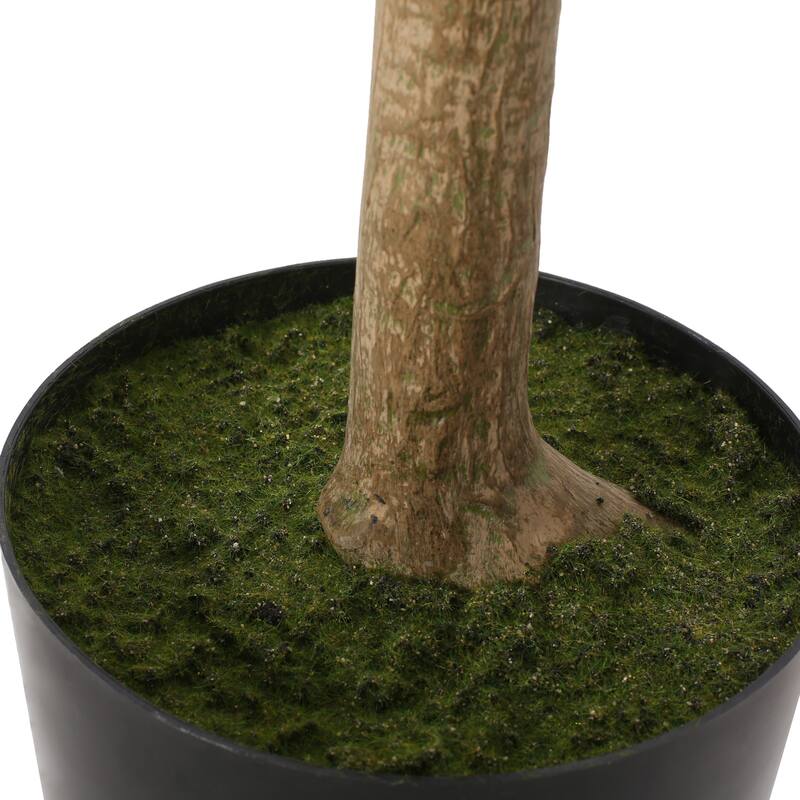 Monadnock Artificial Money Tree by Christopher Knight Home