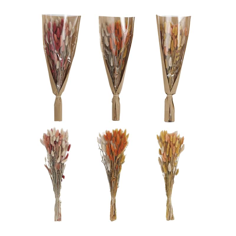 Dried Natural Bunny Tail Grass Bunch, Set of 3 - 2.0"L x 5.9"W x 19.6"H