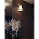 Option Satin Nickel