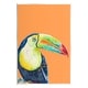 Stupell Tropical Toucan Portrait Vivid Beak Rainforest Bird Wood Wall ...