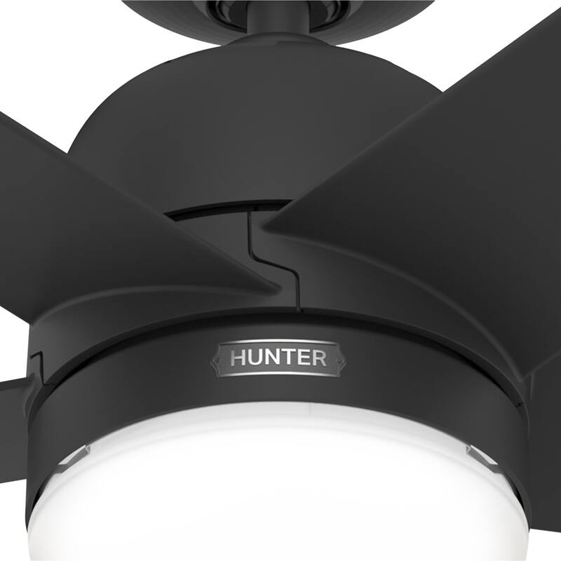 Hunter 52" Lagoon WeatherMax Outdoor Ceiling Fan w/ LED Light, Wall Control - Extreme Weather! Corrosion & Salt-Air Resistant!