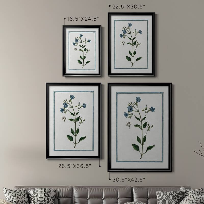 Shabby Chic Botanical II Premium Framed Print - Ready to Hang