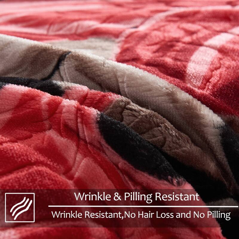 Raschel A&B Printed 2-ply Reversible Korean-style Plush Fleece Blanket