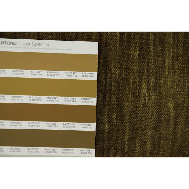 Hand Knotted Oriental 100% Wool Carpet Tribal Animal Pictorial Green Gabbeh Area Rug - 6' 0'' X 5' 10''