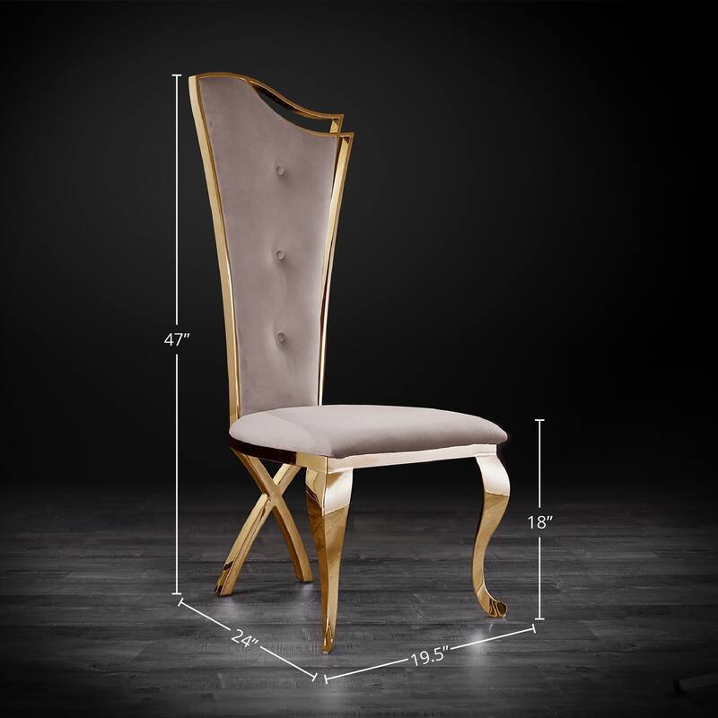 Belladonna Titanium Gold Stainless Steel Dining Chair, Set of 2