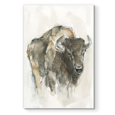 American Buffalo I -Premium Gallery Wrapped Canvas