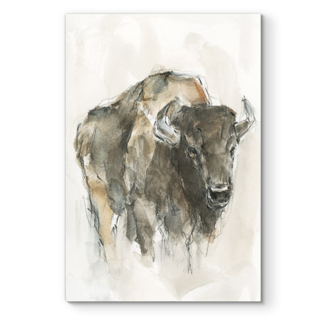 American Buffalo I -Premium Gallery Wrapped Canvas