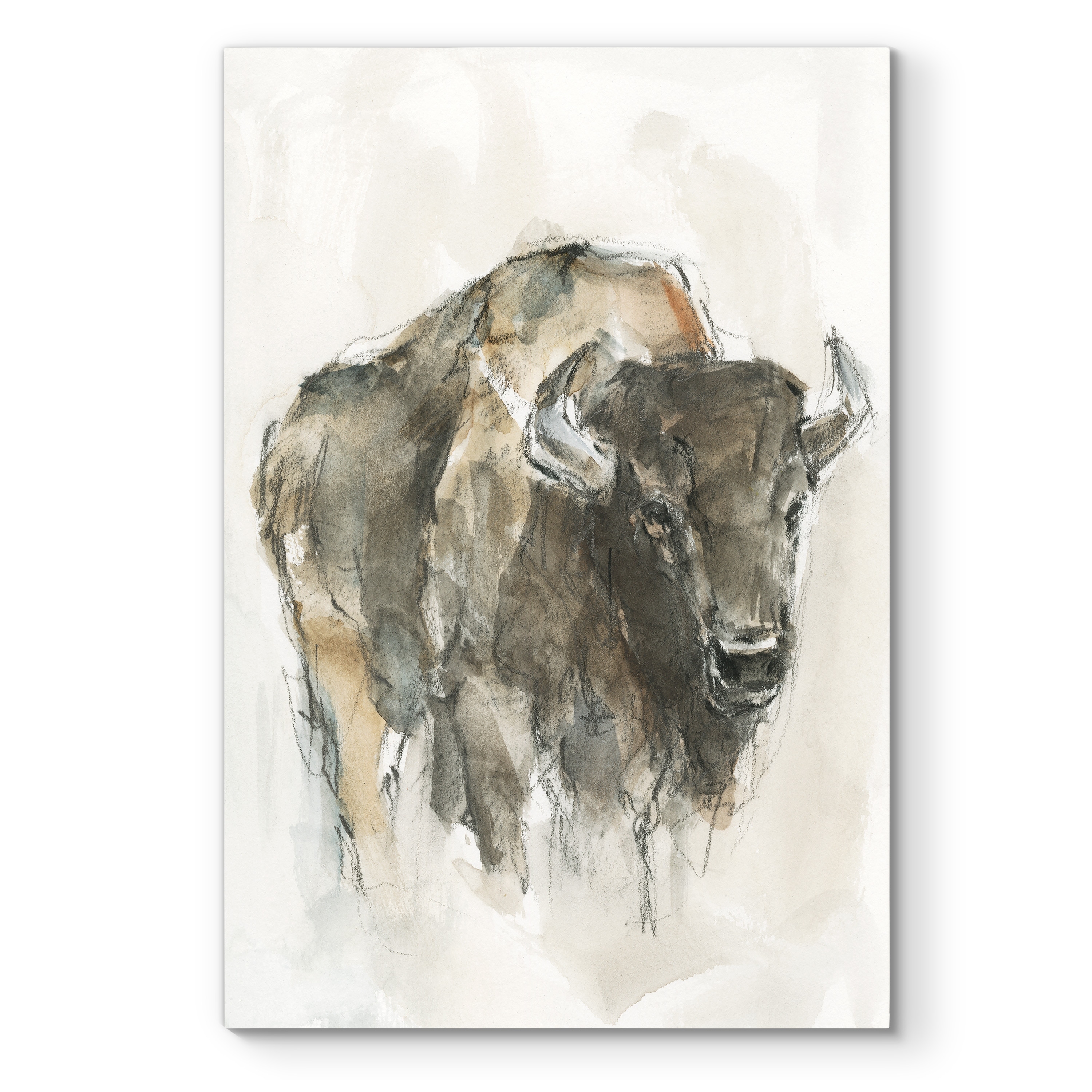 American Buffalo I -Premium Gallery Wrapped Canvas