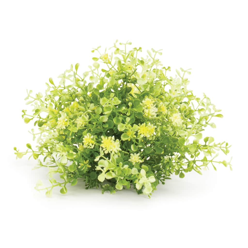 Mini Leaf Foliage Half Orb (Set of 2) - Green