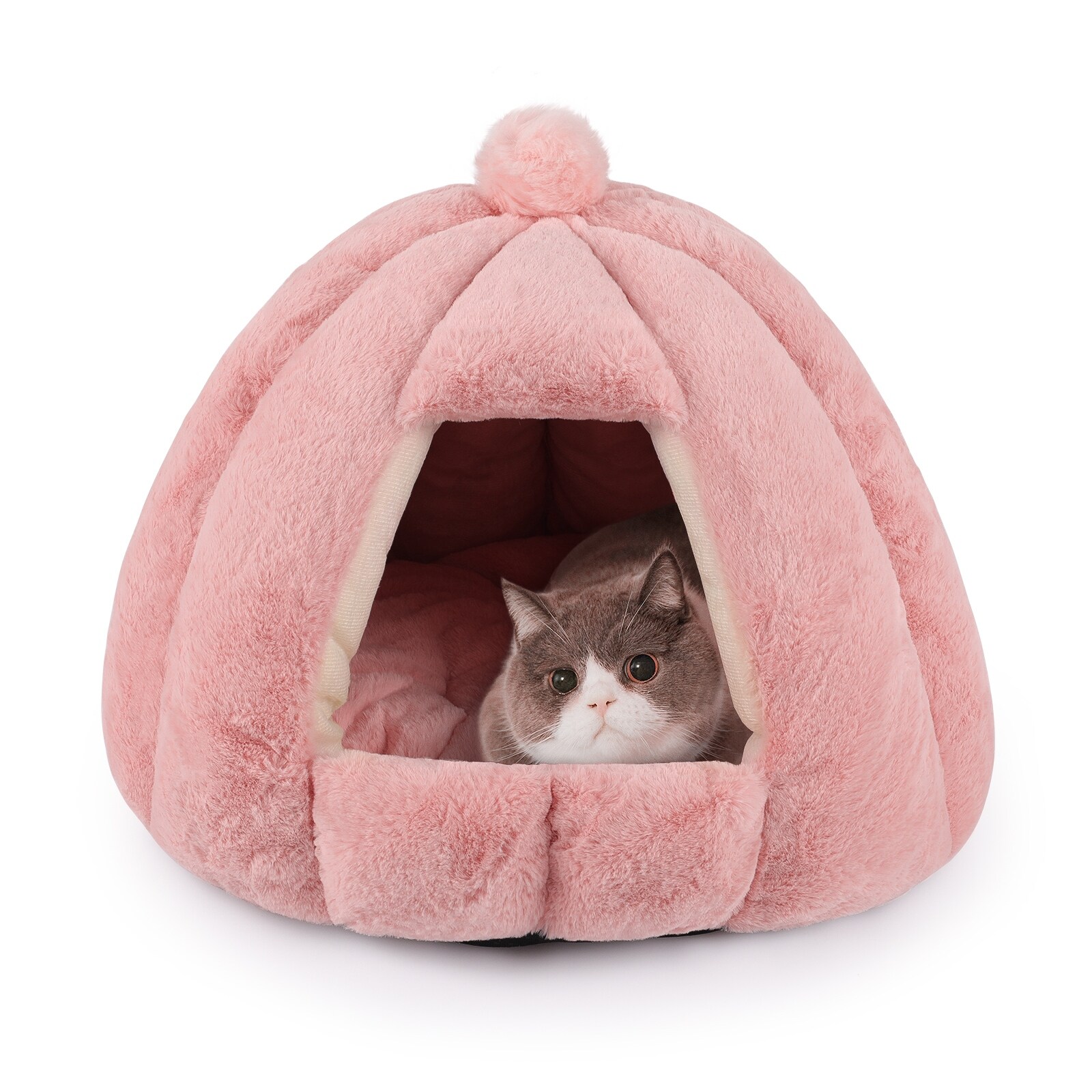 Hut dog bed sales
