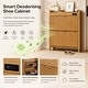 preview thumbnail 5 of 13, Acroma Shoe Storage Cabinet with 2 Flip Drawers Wood - 2-Tier