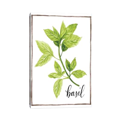 iCanvas "Watercolor Herbs I" by Grace Popp Canvas Print