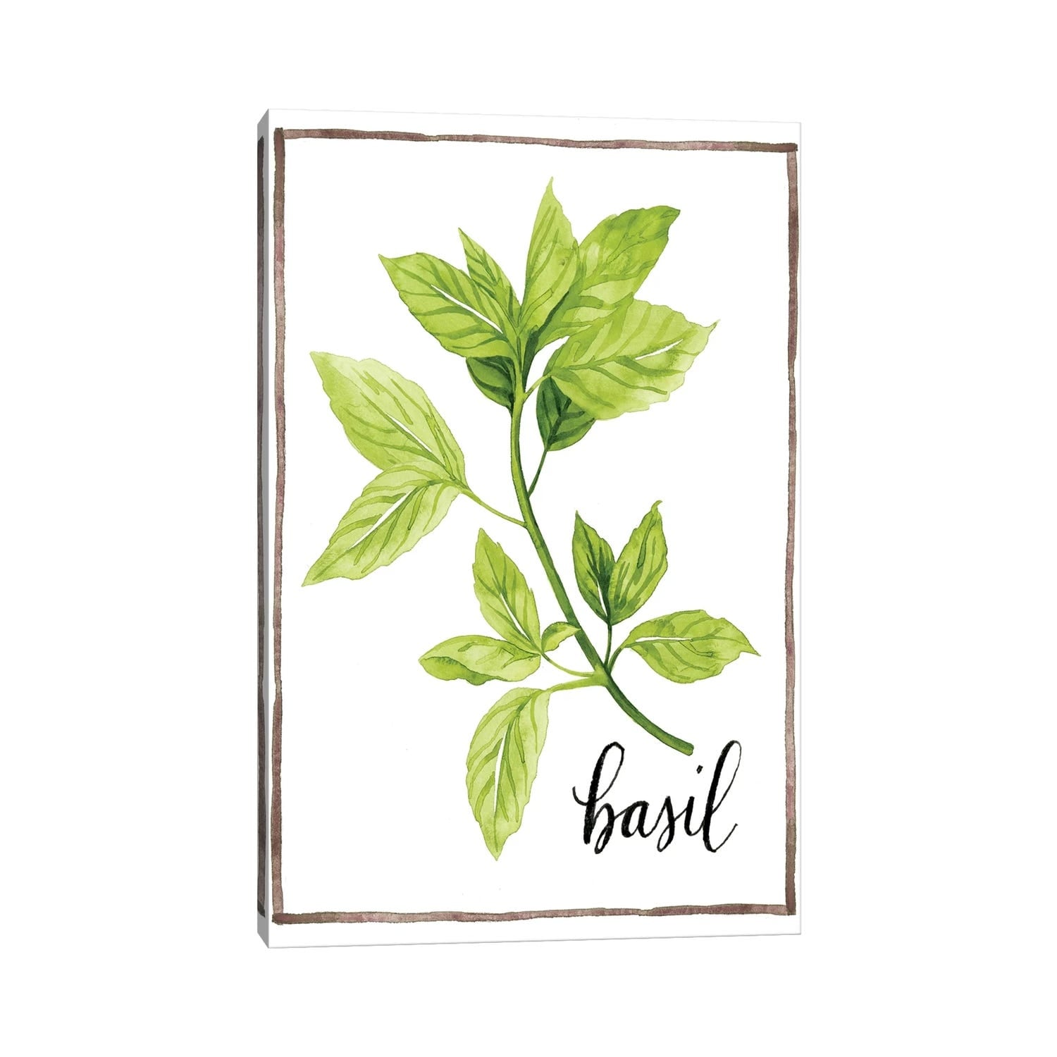 iCanvas "Watercolor Herbs I" by Grace Popp Canvas Print