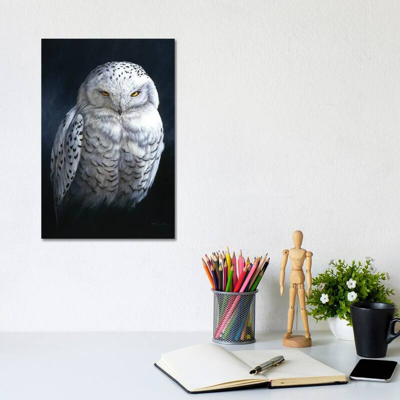 iCanvas "Spirit Of The North - Snowy Owl" by Jeremy Paul Canvas Print - 12x8x0.75