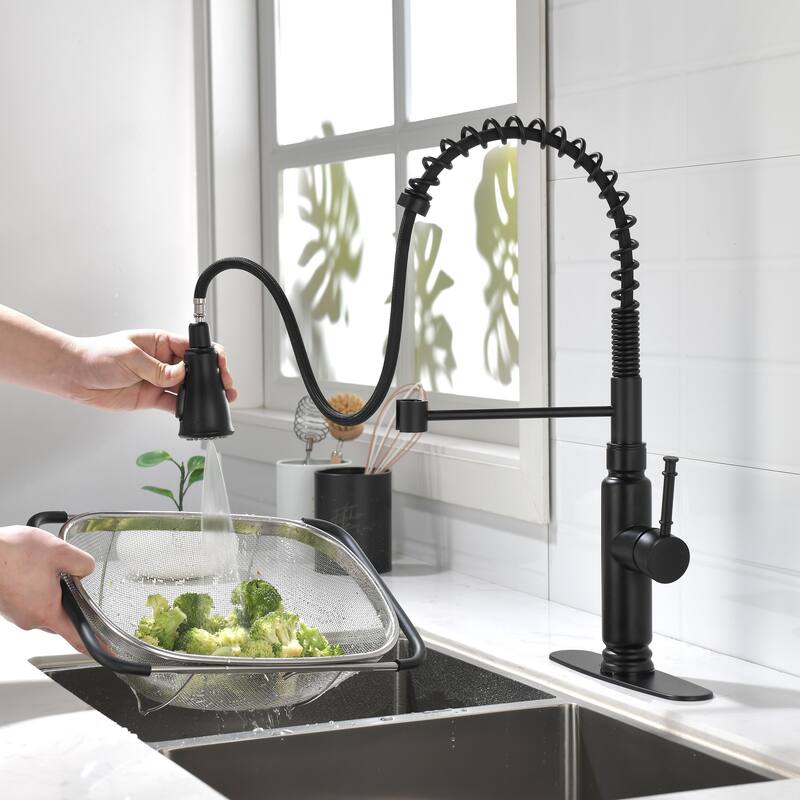 Spring Kitchen Faucet, Single Level Handle and Pull Down Sprayer