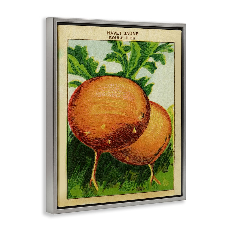 Stupell Country Vintage Onions Framed Floater Canvas Wall Art Design By Lil' Rue