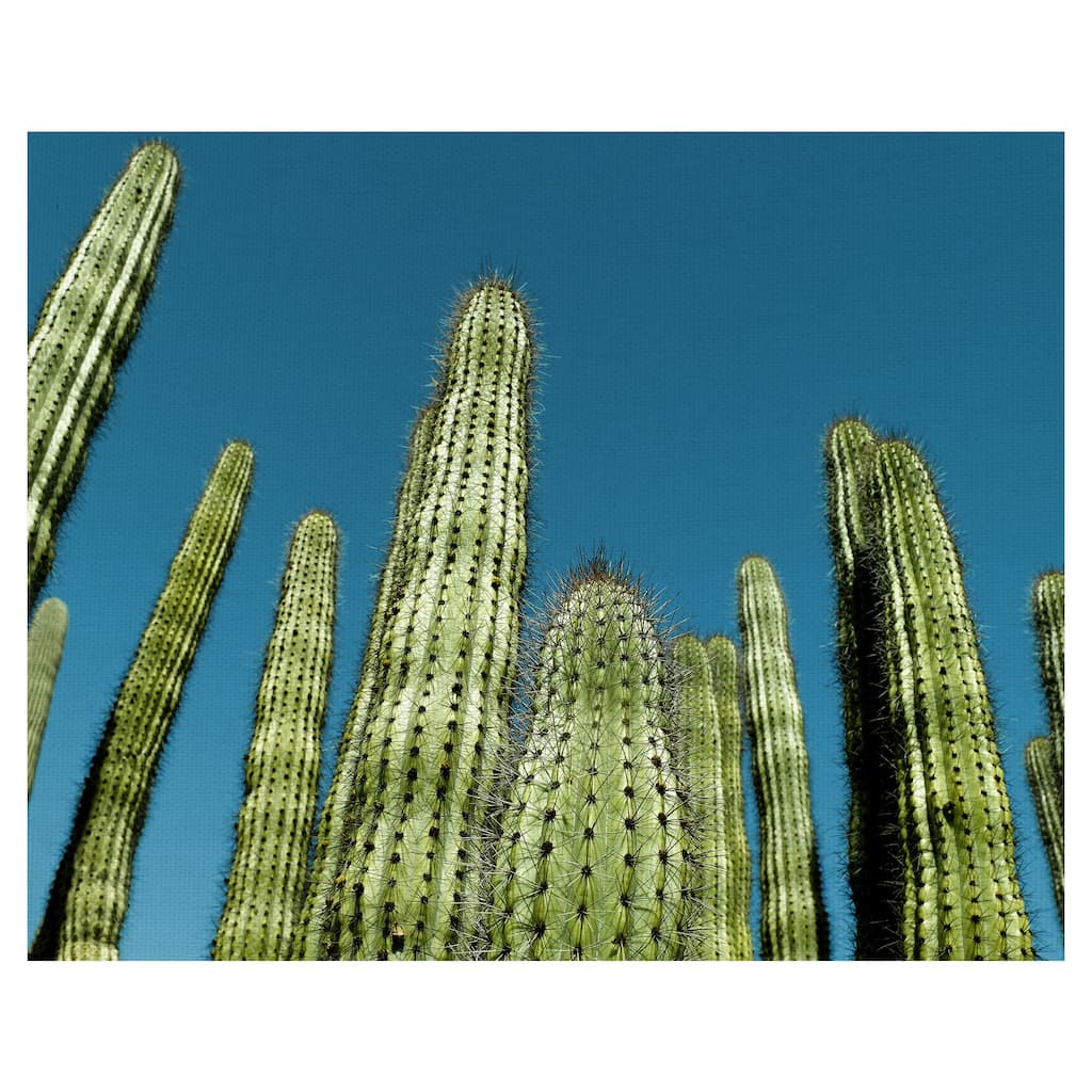 Cactus with Blue Sky by Belle Maison Canvas Art Print
