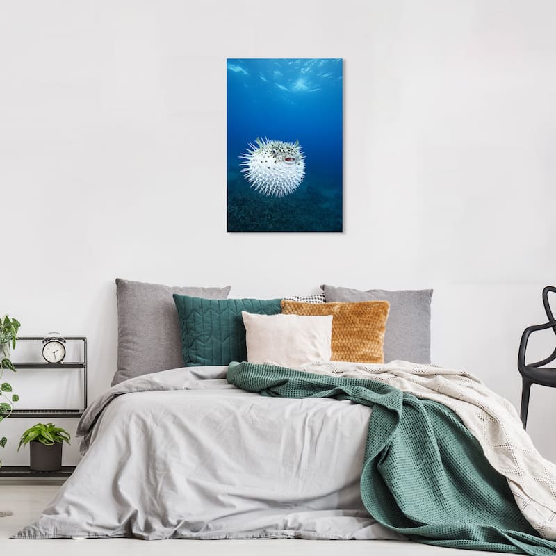 Wynwood Studio Canvas Animals David Fleetham - Spotted PorcupineFish Blue and Nautical & Coastal Wall Art Canvas Print - 24 x 16