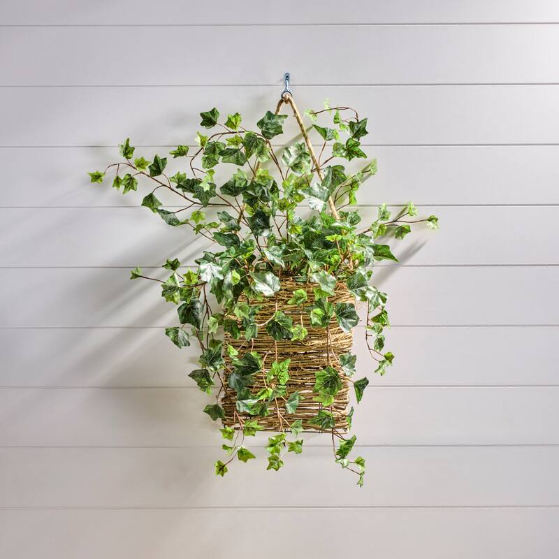 26" Frost English Ivy Spray