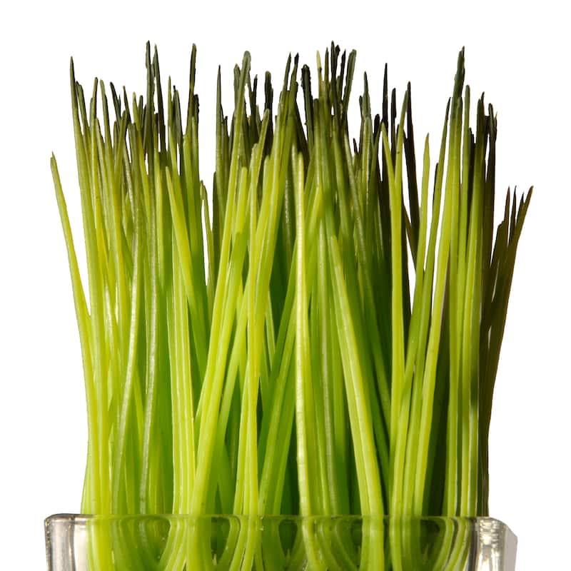 National Tree Company 'Family' Printed Square Glass Pot with Artificial Grass (Set of 3)
