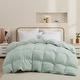 preview thumbnail 34 of 39, All-Season Medium Warmth White Goose Down Comforter with Premium Fabric