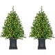 preview thumbnail 4 of 8, Fraser Hill Farm 4-Ft. Boxwood Porch Tree in Black Pot with Warm White Lights, Set of 2