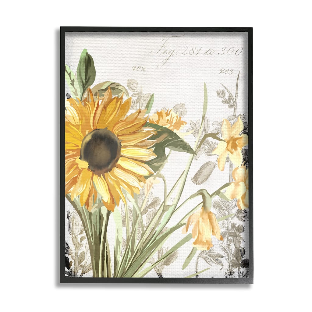 Stupell Soft Sunflower Floral over Vintage Plant Illustration Framed Giclee Texturized Art by Kim Allen