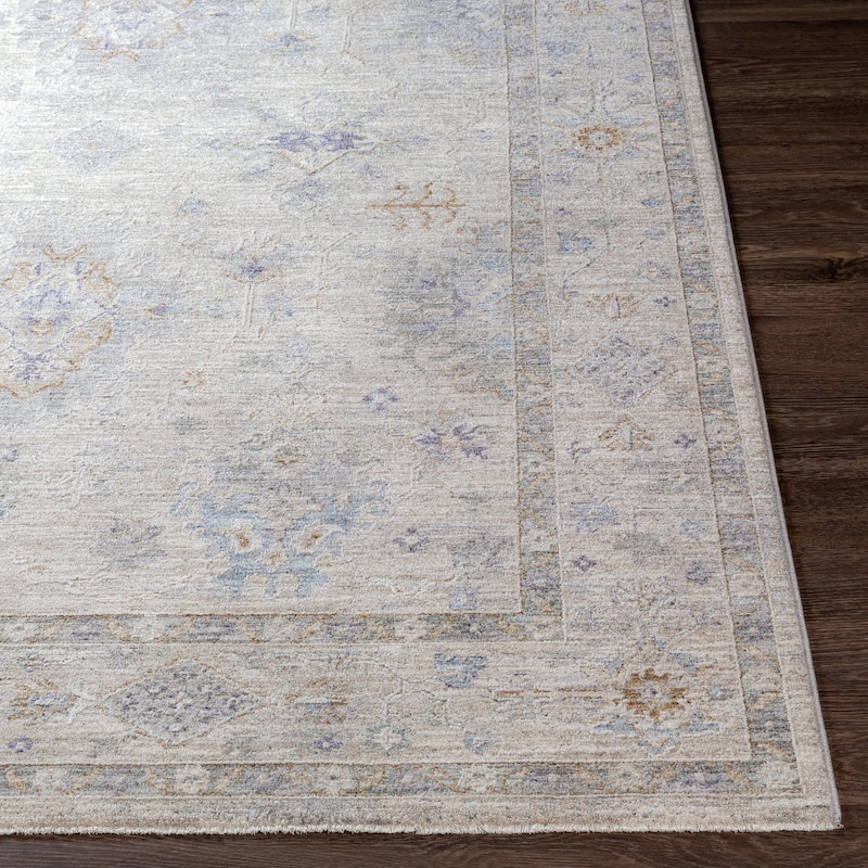 Hunza Updated Traditional Medallion Area Rug