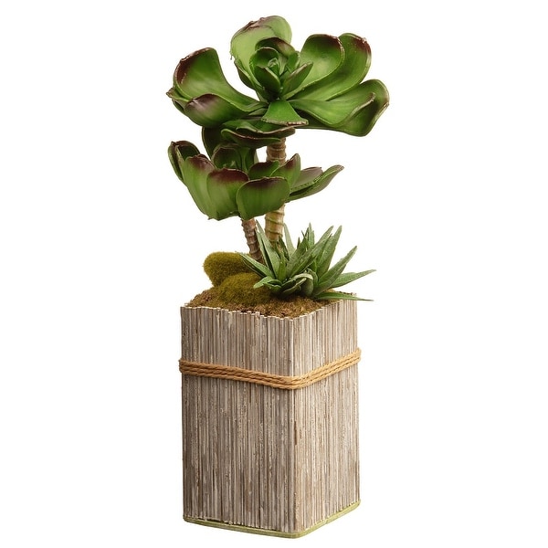 11" Green and Brown Potted Succulent Plant Garden Accents - N/A