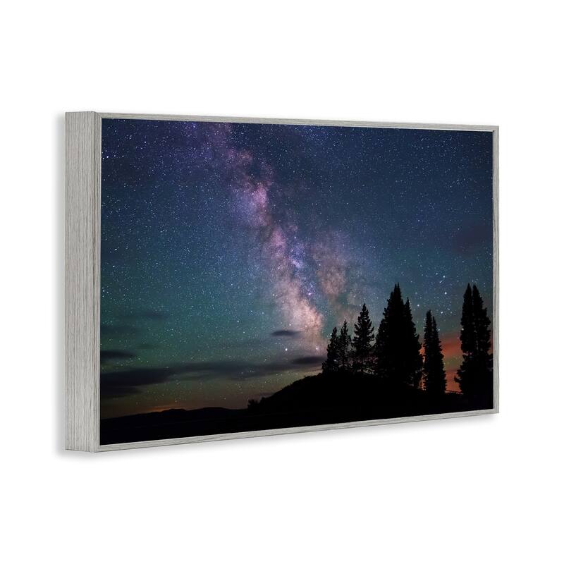 Stupell Silhouetted Forest & Night Sky Framed Giclee Art Design By Royce Bair