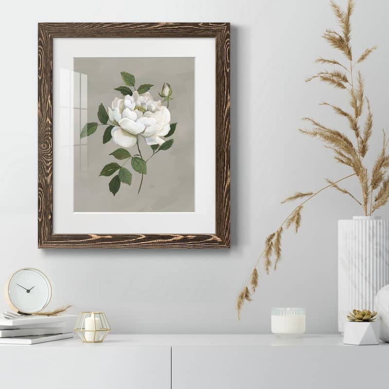 Botanical Rose-Premium Framed Print - Ready to Hang