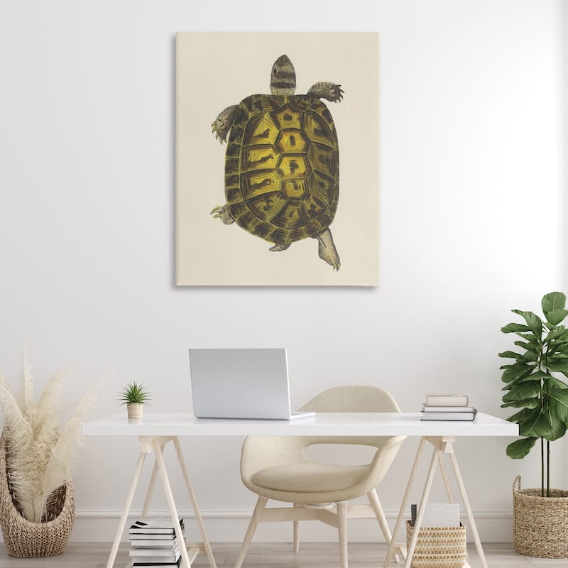 Stupell Vintage Maritime Tortoise Canvas Wall Art Design By Phillipa Katz