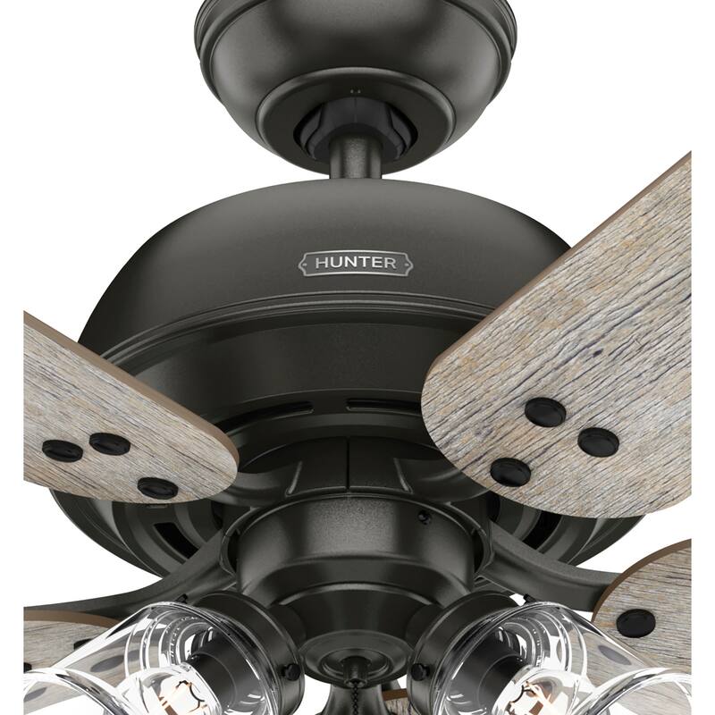 Hunter 52" Shady Grove Ceiling Fan with LED Light Kit/ Pull Chain, Standard or Flush Mount - Casual, Transitional